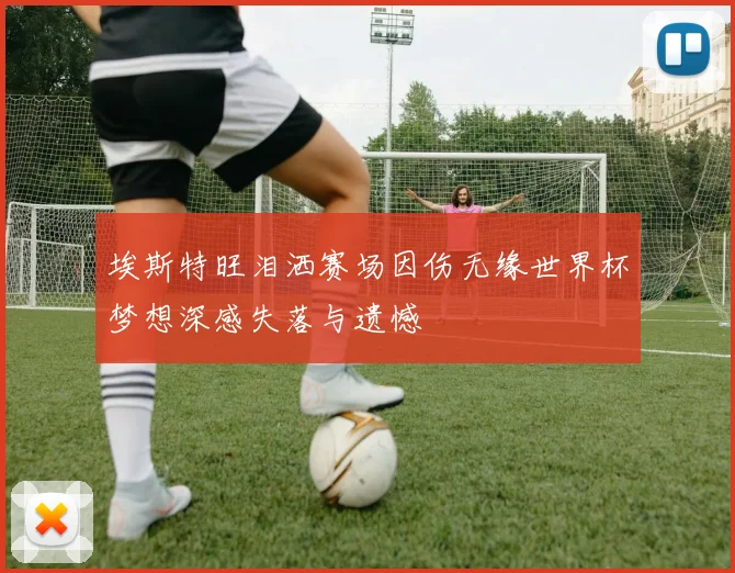埃斯特旺泪洒赛场因伤无缘世界杯梦想深感失落与遗憾