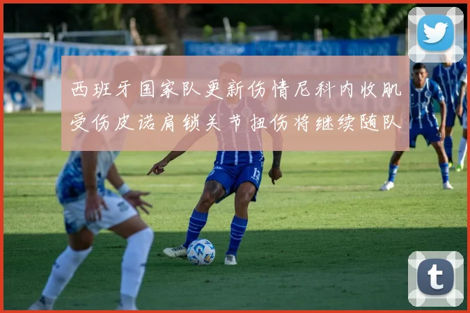 西班牙国家队更新伤情尼科内收肌受伤皮诺肩锁关节扭伤将继续随队训练